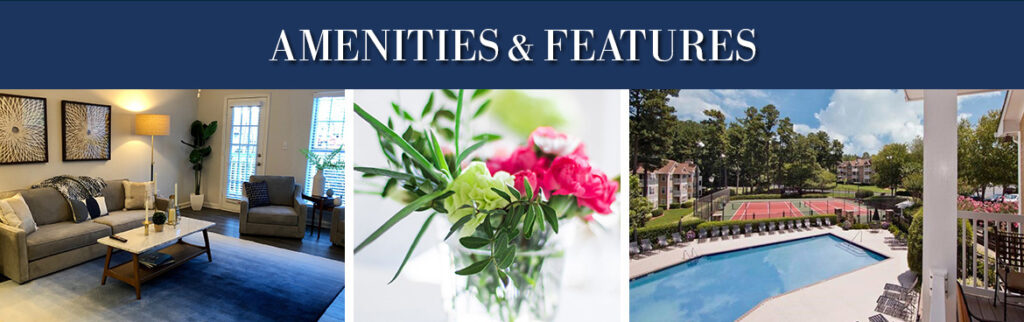 Photo inspiration: Picture Idea: Amenities
