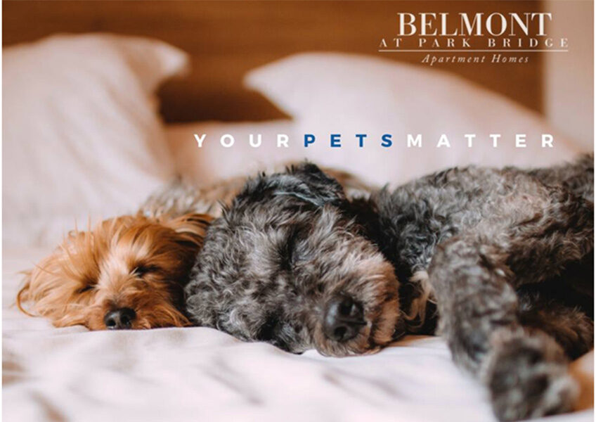 pets-matter-belmontparkbridge
