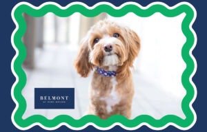 Pet-friendly Belmont Park Bridge in Alpharetta, GA