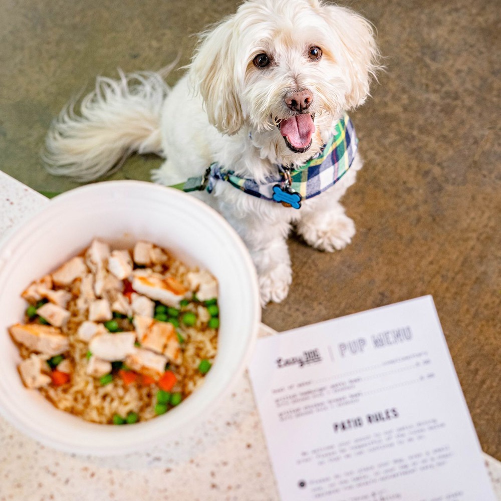 Lazy Dog Restaurant & Bar